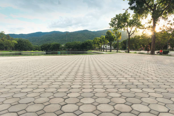 Buchanan, GA Driveway Pavers Company