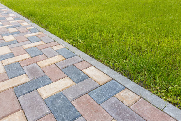 Best Local Driveway Pavers  in Buchanan, GA